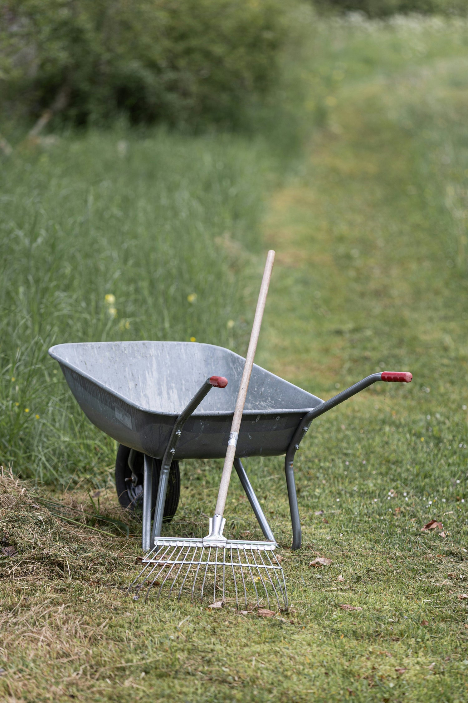 Rakes