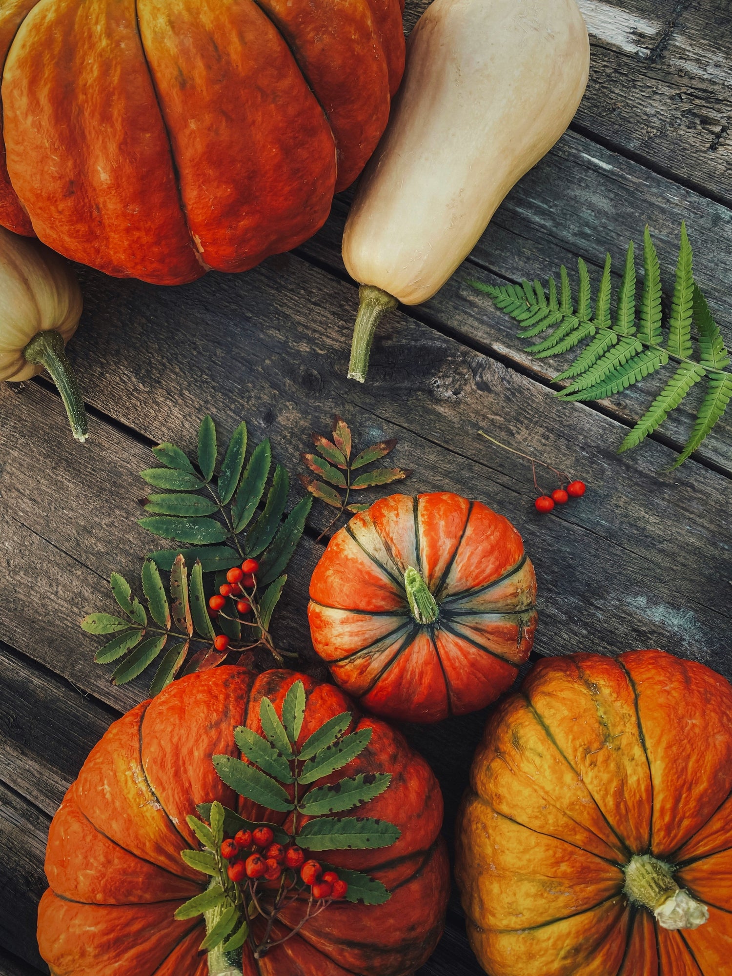 Seasonal Décor