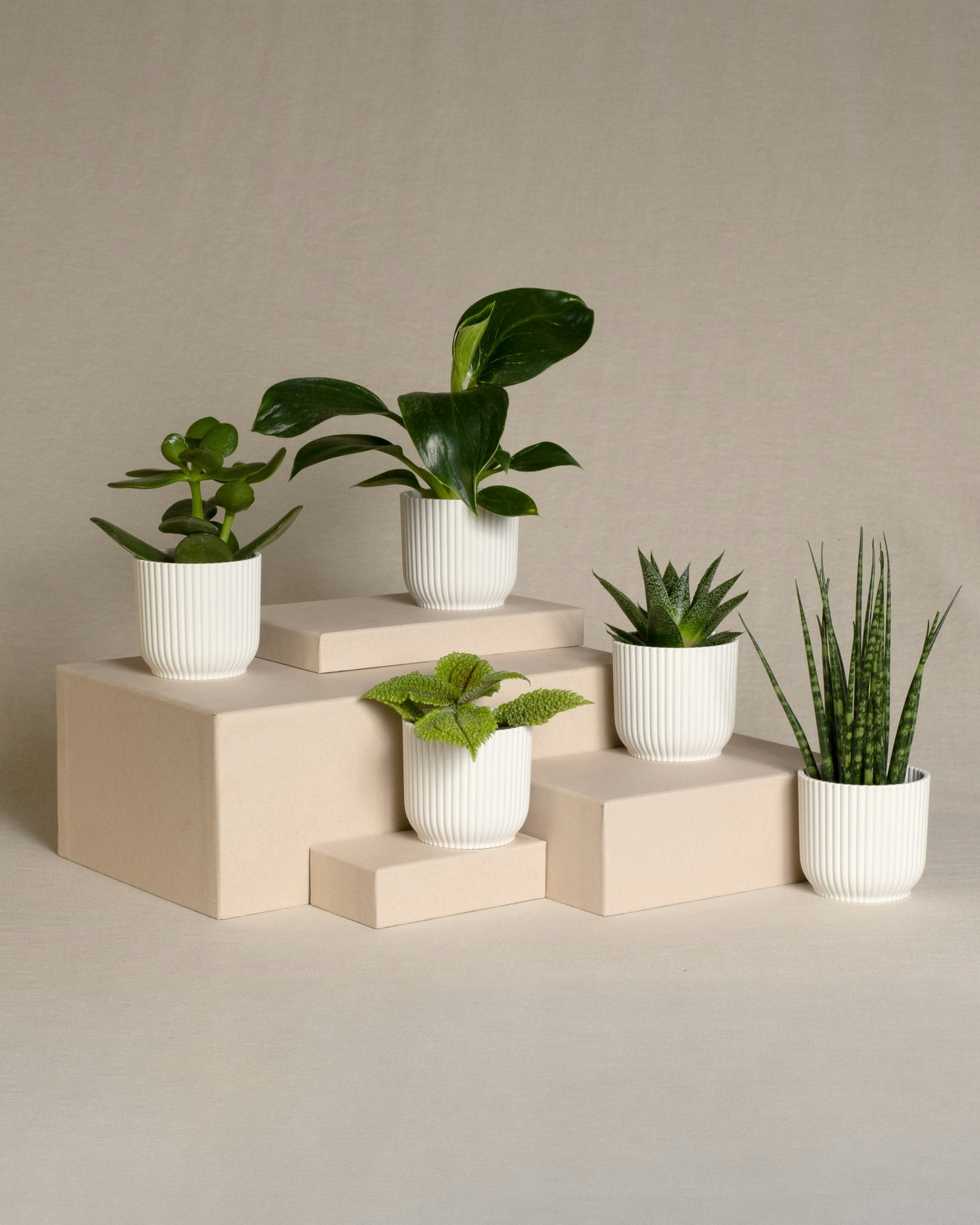 Planters & Container Accessories