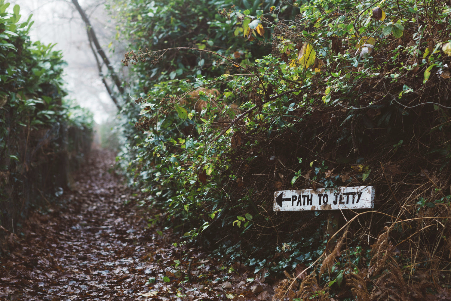 Plaques & Signs