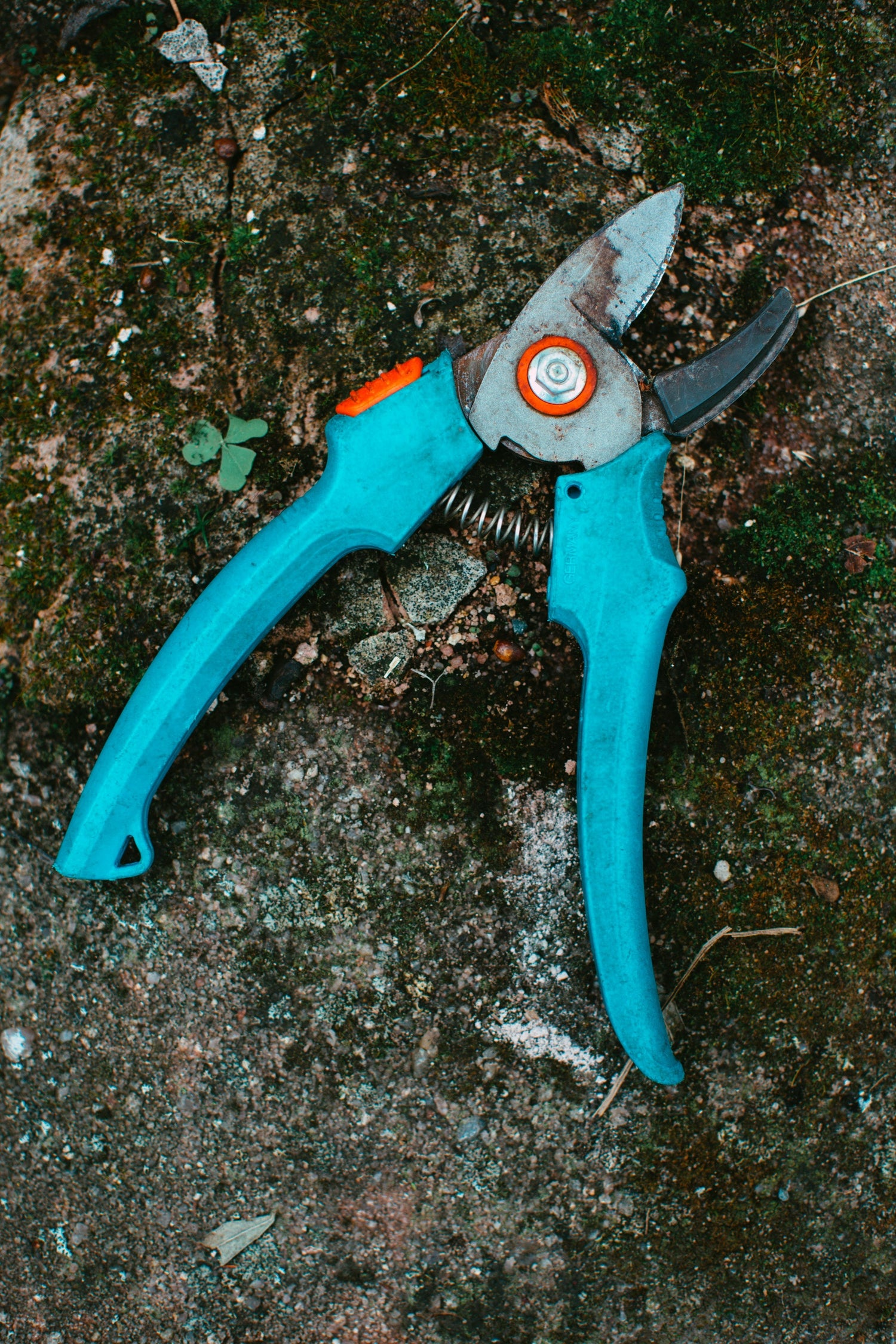 Pruning Shears