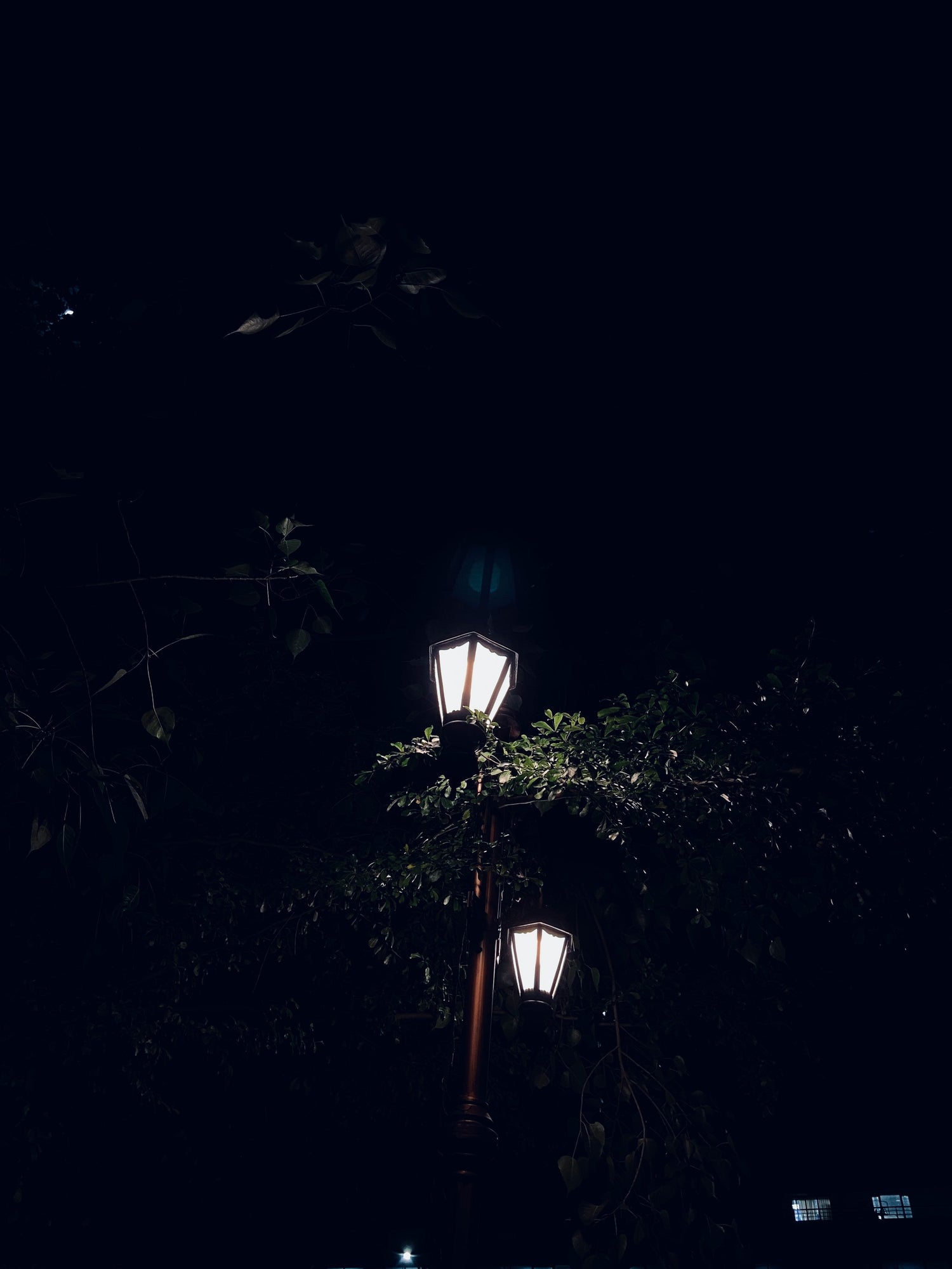 Landscape Lighting