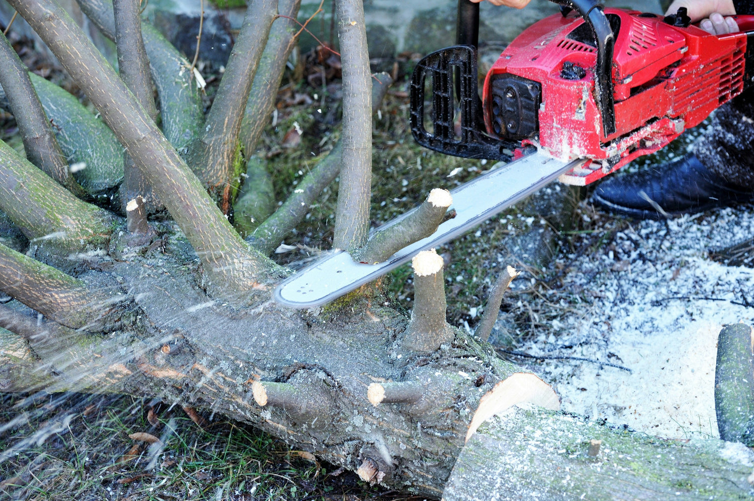 Pruning Saws