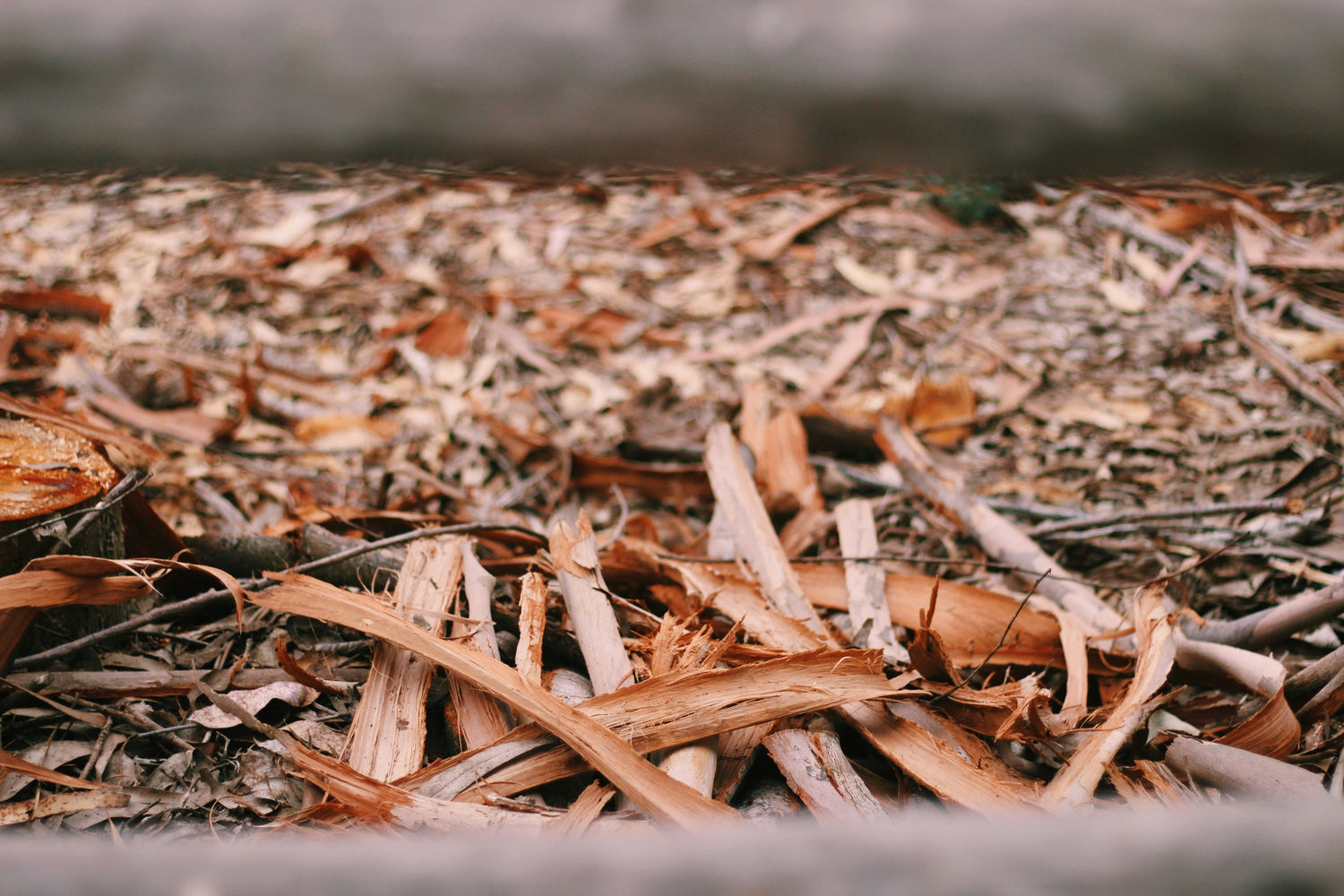 Mulches & Planting media