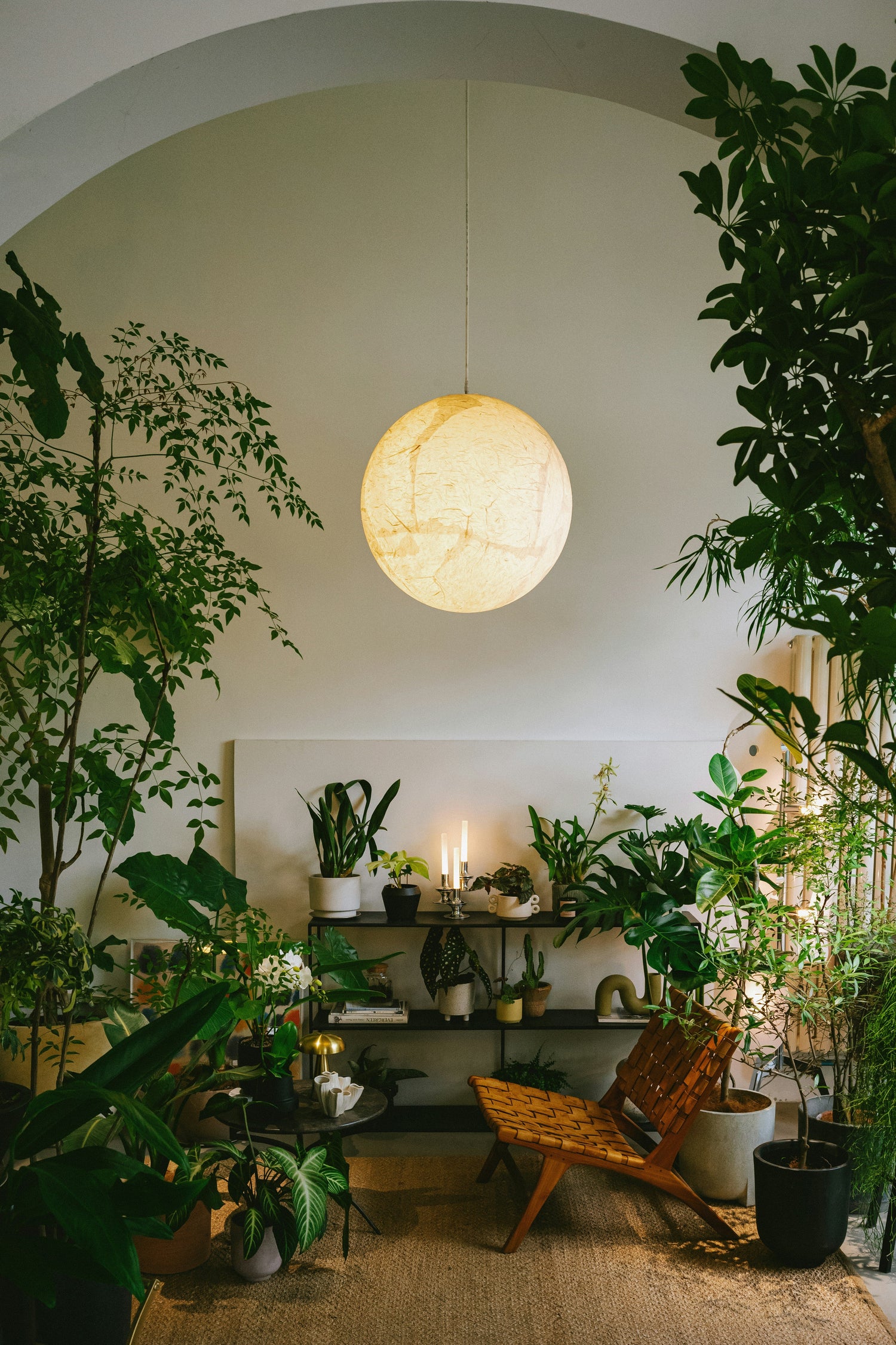 Lighting Accessories