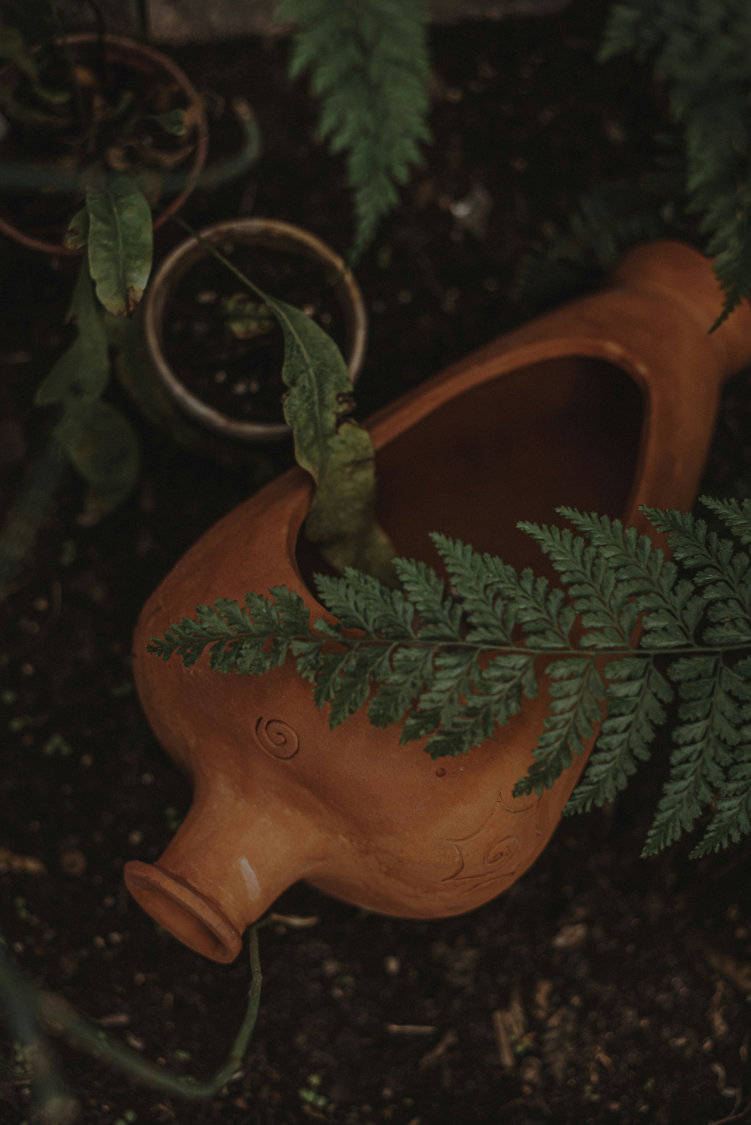 Planter Urns