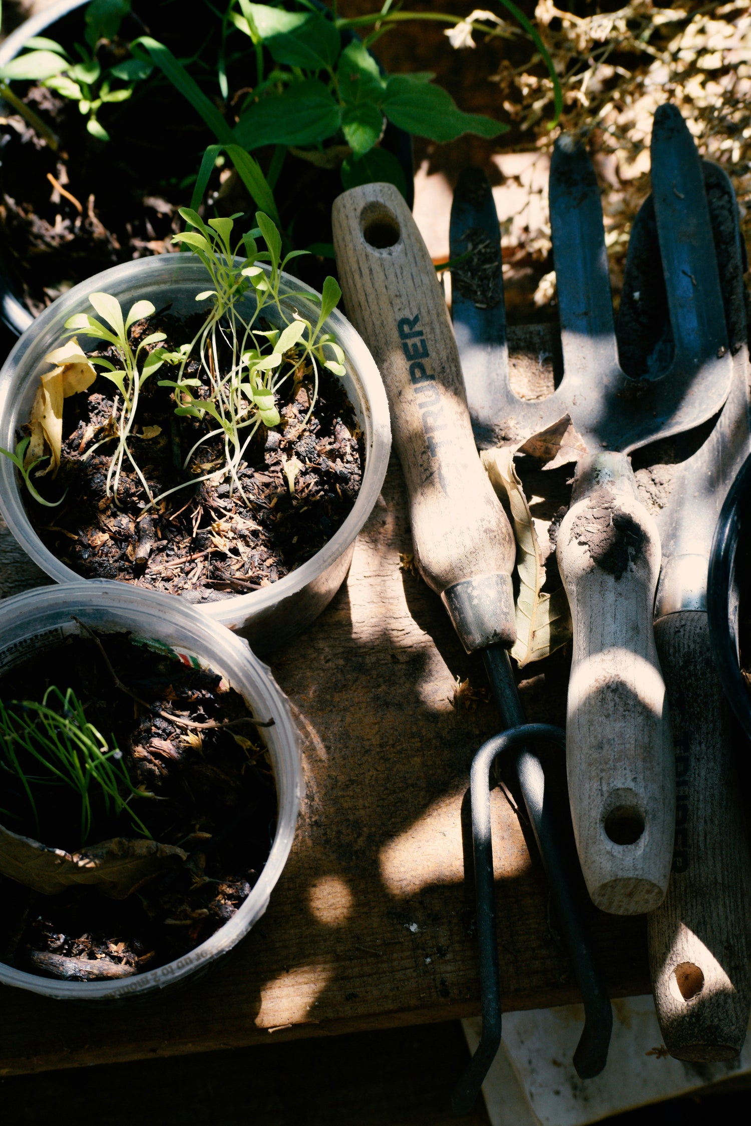 Gardening Tools & Irrigation