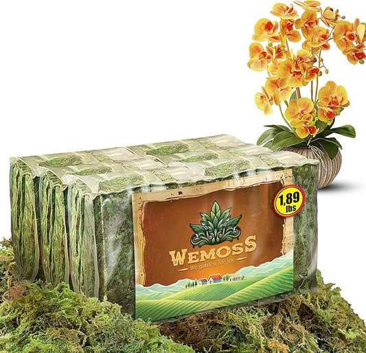 Natural Moss for Plants Indoor, Dried Moss for Potted Plants, Orchid Moss for Repotting, Forest Moss for Orchid Potting Mix, Decorative Moss Filler for Planters and Craft Moss (1.89Lb)